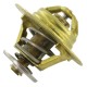 Termostat, CNH 3228046 | Exvi