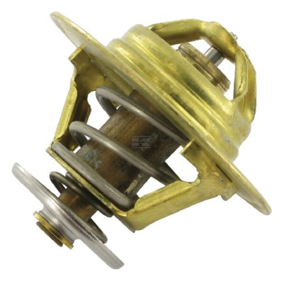 Termostat, CNH 3228046 | Exvi
