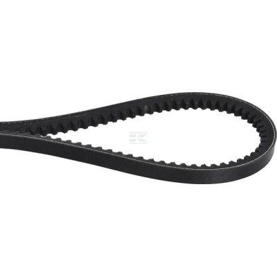Pas klinowy uzębiony Optibelt, AVX 10x1225 AVX101225 | Exvi