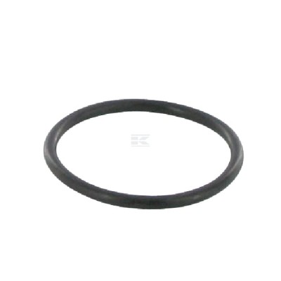 Pierścień uszczelniający, CNH 3134564 | Exvi