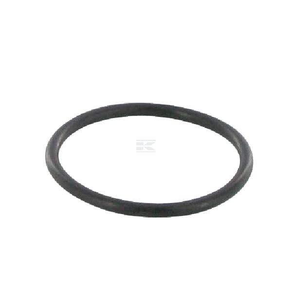 Pierścień uszczelniający, CNH 3134564 | Exvi