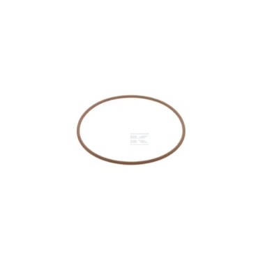 Uszczelka pompy wody 17291781FPT | Exvi