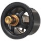 Termostat 504096443FPT | Exvi