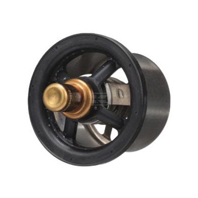 Termostat 504096443FPT | Exvi