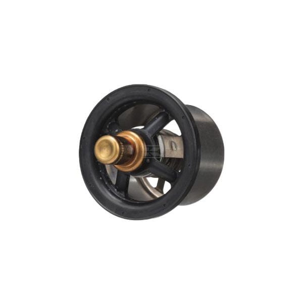 Termostat 504096443FPT | Exvi