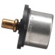 Termostat 504096443FPT | Exvi