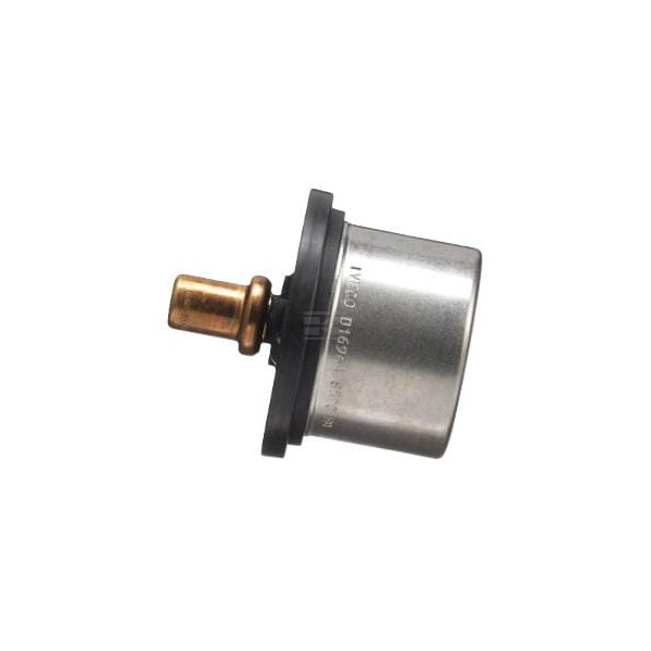 Termostat 504096443FPT | Exvi
