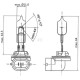 Żarówka 12V 37.5W PGJ13 B37513KR | Exvi