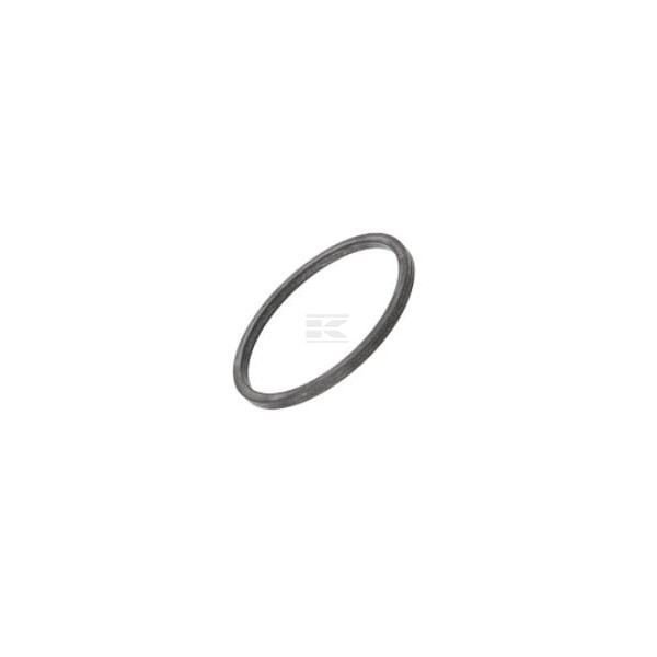 Pierścień uszczelniający 5802455380FPT | Exvi