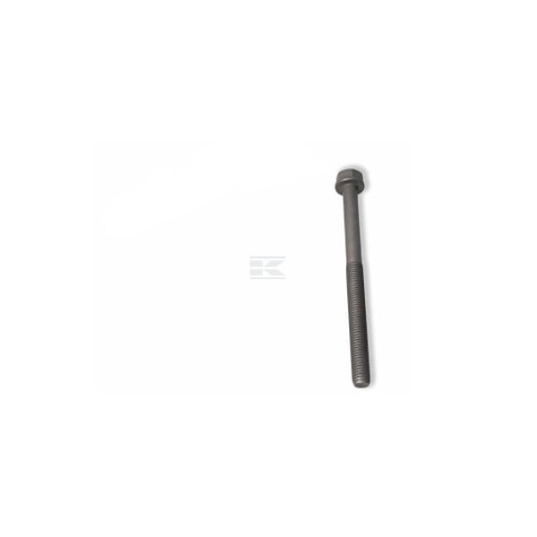 Śruba z łbem walcowym 4891025FPT | Exvi