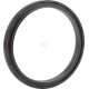 Uszczelniacz oleju 5801483583 | Exvi