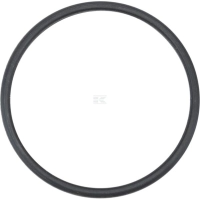 Uszczelka termostatu 504387771 | Exvi