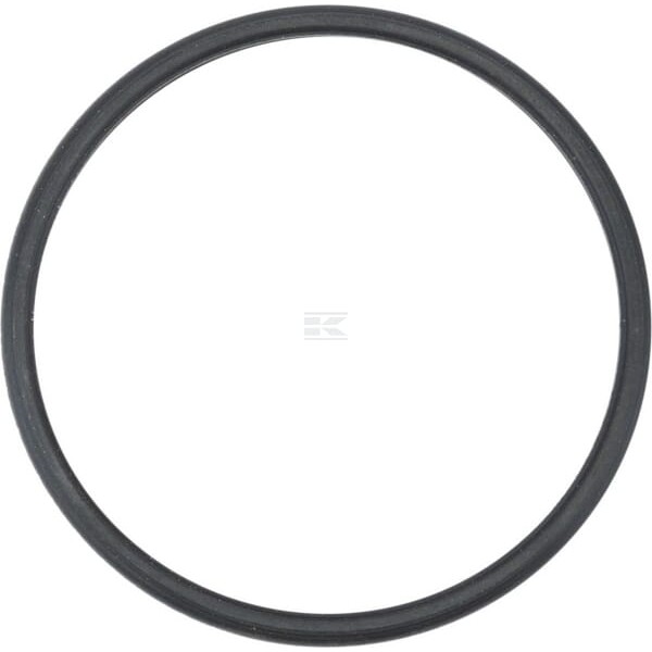 Uszczelka termostatu 504387771 | Exvi