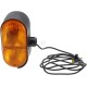 Lampa kierunkowskazu, halogenowa, prawa 3470144 | Exvi