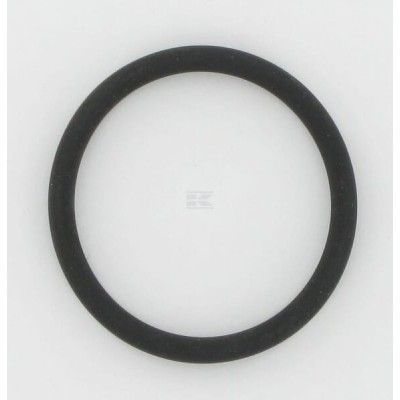 Pierścień uszczelniający o-ring 9849963 | Exvi