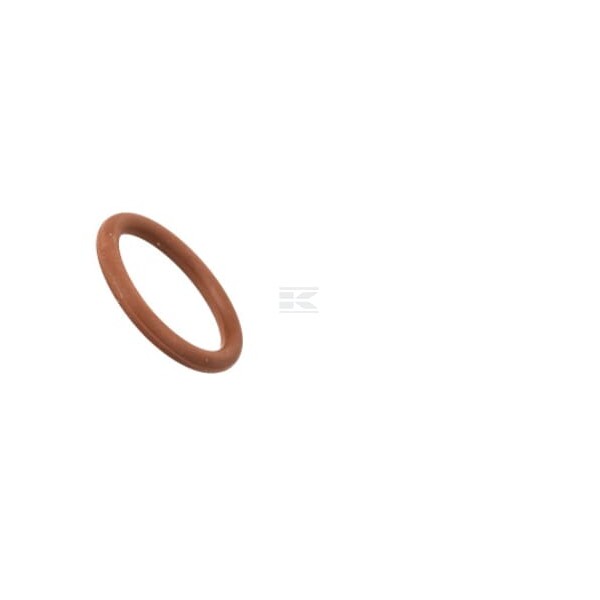 Pierścień uszczelniający o-ring 17281881FPT | Exvi