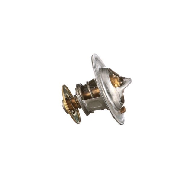 Termostat 504038890FPT | Exvi