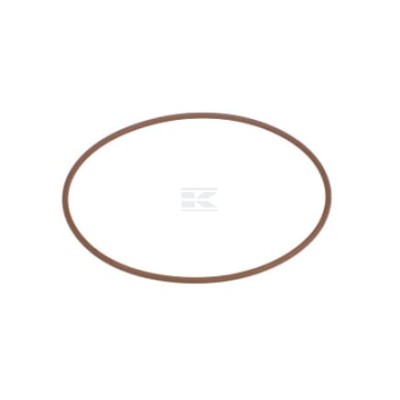 Pierścień uszczelniający o-ring 504108486FPT | Exvi