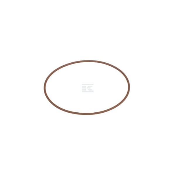 Pierścień uszczelniający o-ring 504108486FPT | Exvi