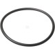 Pierścień uszczelniający o-ring 579359 | Exvi