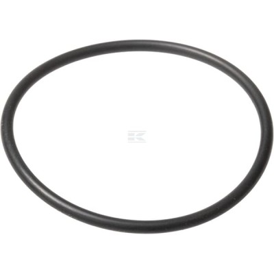 Pierścień uszczelniający o-ring 579359 | Exvi