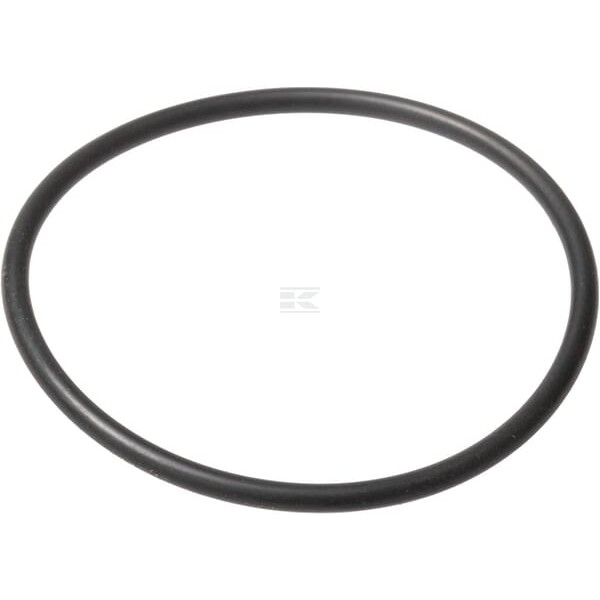 Pierścień uszczelniający o-ring 579359 | Exvi