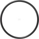 Pierścień uszczelniający o-ring 579359 | Exvi