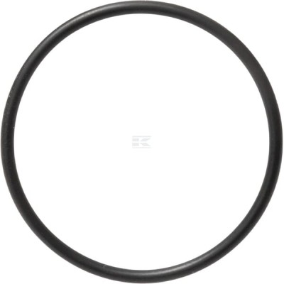 Pierścień uszczelniający o-ring 579359 | Exvi