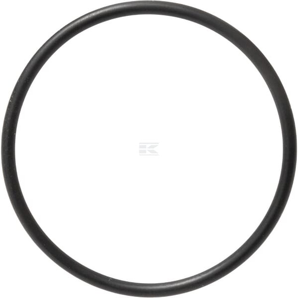 Pierścień uszczelniający o-ring 579359 | Exvi