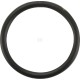 Pierścień uszczelniający o-ring CNH 14457780 | Exvi