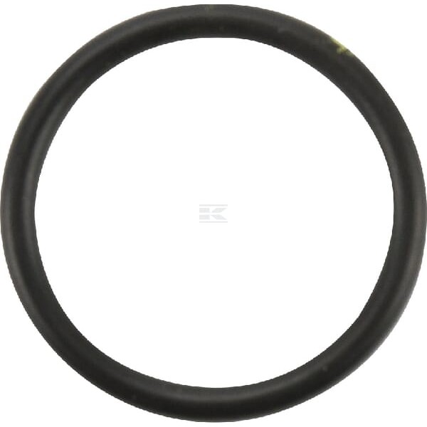 Pierścień uszczelniający o-ring CNH 14457780 | Exvi