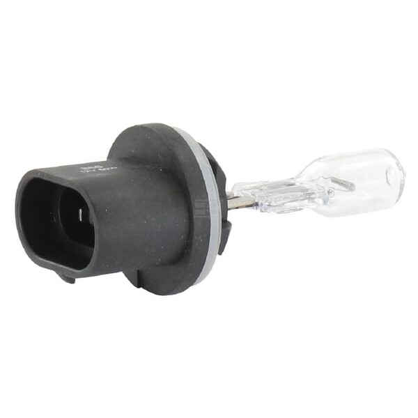 Żarówka 12V 50W PG13 44995162 | Exvi