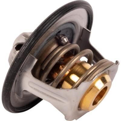 Termostat 504380075 | Exvi