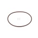 Pierścień uszczelniający o-ring 17292081FPT | Exvi
