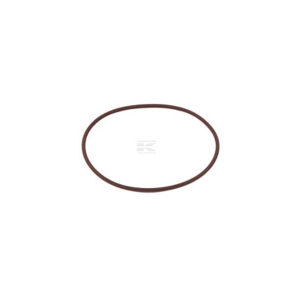 Pierścień uszczelniający o-ring 17292081FPT | Exvi