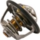 Termostat 504384724 | Exvi