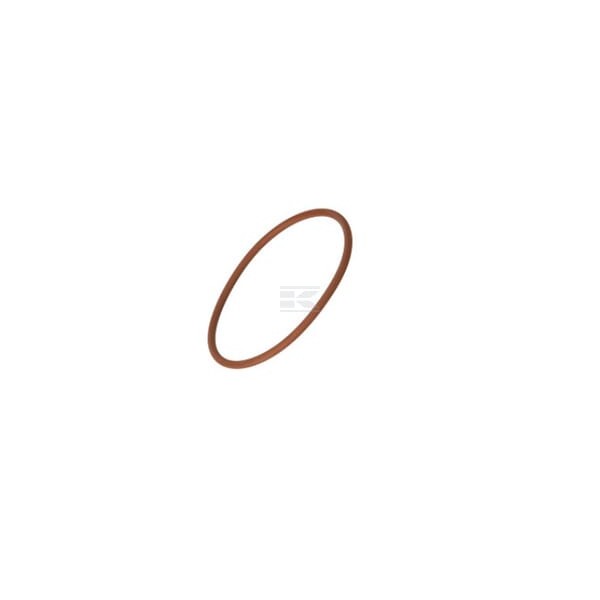 Pierścień uszczelniający o-ring 17284281FPT | Exvi