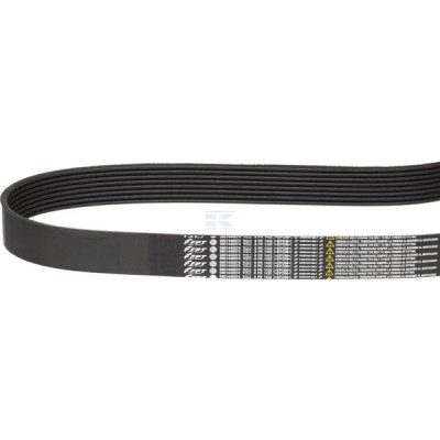 Pasek klinowy, CNH 84426014 | Exvi