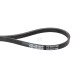 Pasek klinowy, CNH 87399980 | Exvi