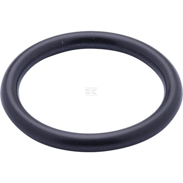 Pierścień uszczelniający o-ring 9827059 | Exvi