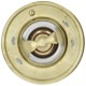 Termostat odpowiedni do New Holland 98463637 | Exvi