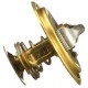 Termostat 98463638FPT | Exvi