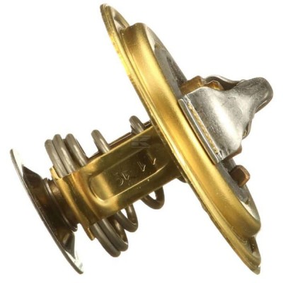 Termostat 98463638FPT | Exvi