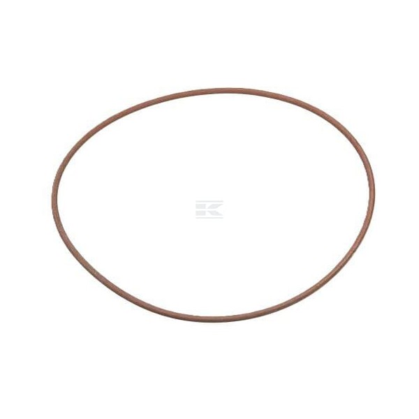 Pierścień uszczelniający o-ring 17292781FPT | Exvi