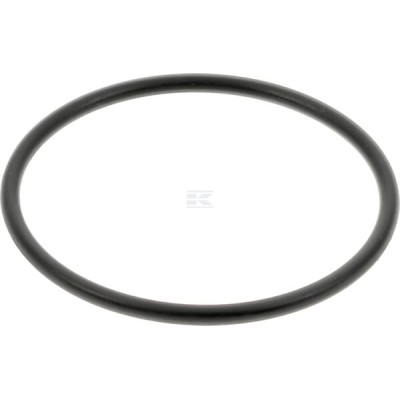 Uszczelka O-ring 9820460 | Exvi