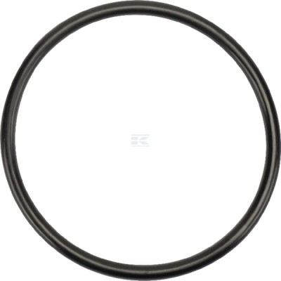 Pierścień uszczelniający o-ring tłoka New 83904858 | Exvi