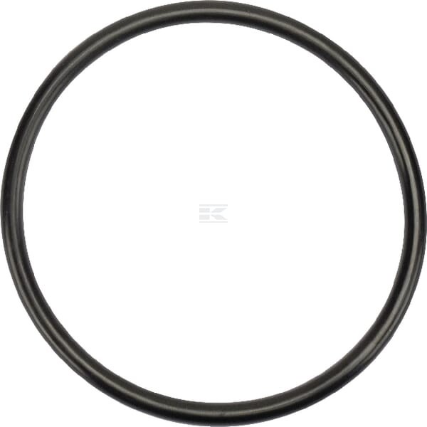 Pierścień uszczelniający o-ring tłoka New 83904858 | Exvi