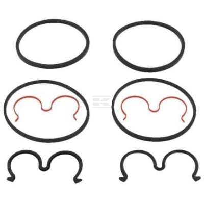 Zestaw uszczelnień SCP 42481597FPT | Exvi
