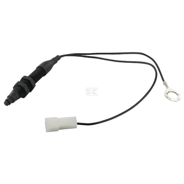 Wyłącznik bezpieczeństwa, CNH 1534118 | Exvi