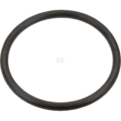 Pierścień uszczelniający o-ring Case IH 3131661 | Exvi